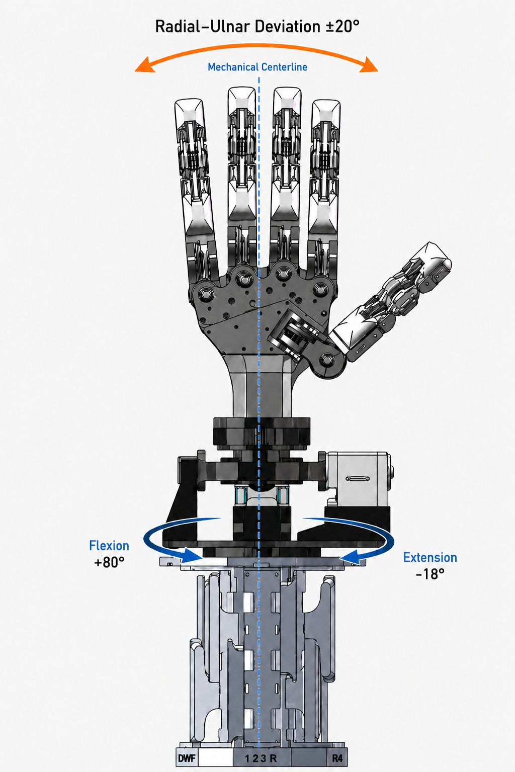 CRAFT-W wrist workspace showing radial–ulnar deviation and flexion–extension ranges